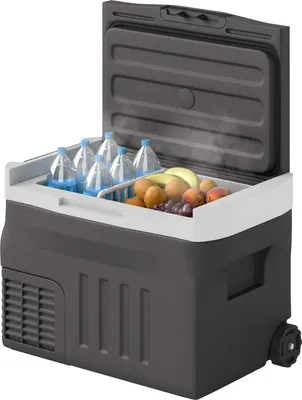 Immagine prodotto di Frigo portatile a compressore da 30 litri frigo portatile elettrico con LED Collegamento modalità ECO funzione di mantenimento del freddo frigo portatile thermobox mini frigorifero 12/230 volt per presa auto camion campeggio nero |