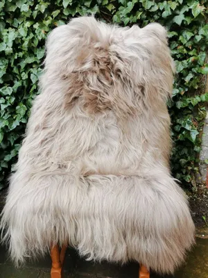 Immagine prodotto di Top Eco Icelandic Lambskin Pelle di pecora lunga lana Taupe Pelli Nuove L - XXL 130-140 cm x 70-90 cm