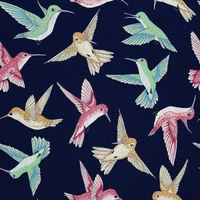Immagine prodotto di OUTDOOR DECOSTOFFE OXFORD - Motivo colibrì colorati