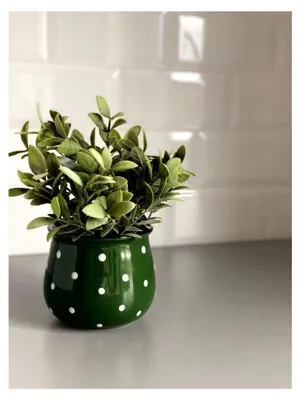 Produktbild von Keramik Blumentopf Übertopf ⌀ 110 mm Grün mit weißen Punkten