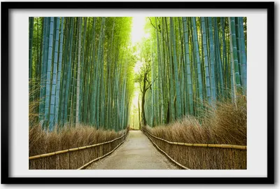 Produktbild von Bild 60x40 MDF-Rahmen, Wandkunst Bambuswald