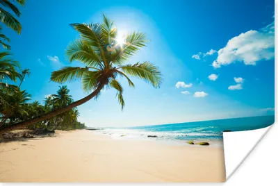 Produktbild von MuchoWow® Poster Strand - Meer - Sonne - Palme 120x80 cm - Bilder