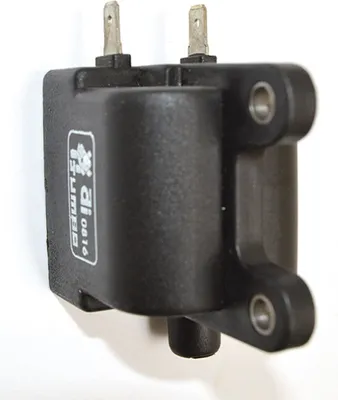 Immagine prodotto di Bobina per Triumph Versione 3 Cilindri