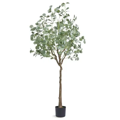 Produktbild von Eukalyptus Künstlich - Kunstpflanze 80x80x181cm PE - Künstliche Pflanzen - Plastikpflanzen - Fake - Geruchslos und Wasserdicht - Dekoration für Schlafzimmer, Arbeitszimmer, Wohnzimmer