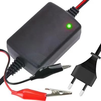 A black battery charger with red and black alligator clips and a European plug.