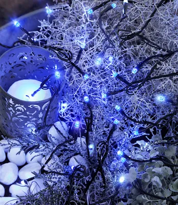 Produktbild von Best Season LED-Lichterkette, 80tlg. Farbe blau, outdoor, mit Trafo, Kabel:schwarz, 498-29