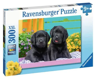 Produktbild von Ravensburger 12950, 300 Stück(e), 9 Jahr(e)