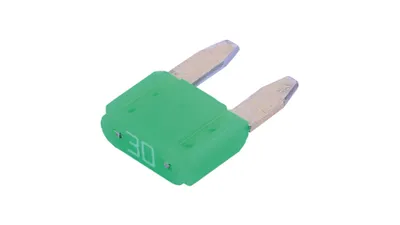Immagine prodotto di COREXX "MINI" fusibile a spina piatta per D 30 A, verde