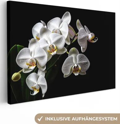 Produktbild von MuchoWow® - Leinwandbilder - Orchidee - Blumen - Weiß - Natur - Schwarz, Wandbild, Wanddeko Bilder Wohnzimmer, 60x40cm
