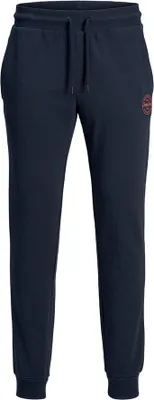 Obrázek produktu pro Kalhoty Jack&Jones 12165322-NVY pro Pánské
