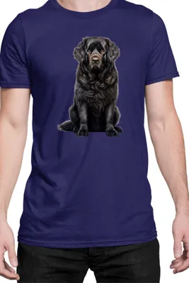Immagine prodotto di Maglietta da uomo Dogs Breeds Newfoundland Dog Breed 006, Man L , Bleu foncé