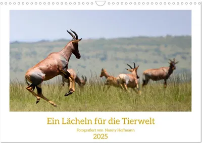 Produktbild von Ein Lächeln für die Tierwelt (Wandkalender 2025 DIN A3 quer), CALVENDO Monatskalender