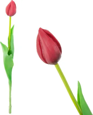 Obrázok produktu pre CV07588-10 pogumovaný červený tulipán ako živý umelý kvet do kytice z trstiny