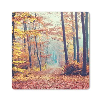 Produktbild von MuchoWow® Mauspad Mousepad Wald - Herbst - Laub 30x30 cm - Mousepads - Maus Mat - Pad - Mausunterlage - Gaming