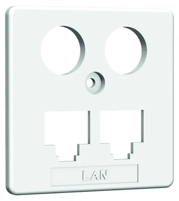 Produktbild von homeway HW Zentralplatte ZP-EK1 LAN/LAN 50mm rw HAXHSE-G0401-C021