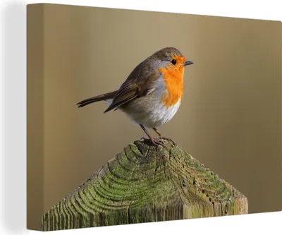 Produktbild von OneMillionCanvasses® - Leinwandbilder - Bild auf Leinwand Wandbild Leinwandbild Rotkehlchen - Pfahl - Holz, 90x60 cm, Kunstdruck Wandkunst Gemälde auf Holzrahmen - Leinwänden - Fotoleinwand
