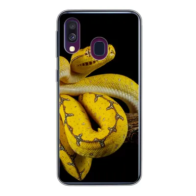 Produktbild von MuchoWow® Handyhülle Schutzhülle Hülle für Samsung Galaxy A40 Schlange - Zweig - Gelb Silikon Softcase Handy Hülle - Handy-Tasche