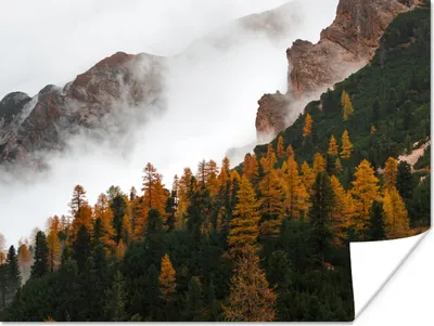 Produktbild von MuchoWow® Poster Berg - Nebel - Wald 160x120 cm - Foto Plakat