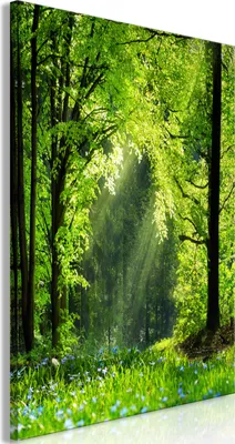 Produktbild von Modernes Wandbild Wald 80x120 - 1 Teile Bilder Fotografie auf Vlies Leinwand Foto Bild Dekoration Wand Bilder Kunstdruck Bäume grün Natur c-C-0417-b-a