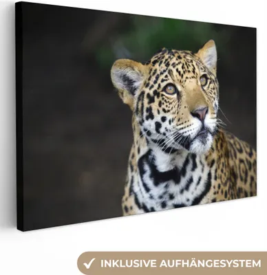 Produktbild von OneMillionCanvasses® - Leinwandbilder - 150x100 cm, Leopard - Kopf - Wald, Wandbilder Kunstdruck Wanddekoration