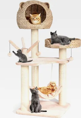 Produktbild von Kratzbaum 121 cm Hoch Mehrstöckiger Katzenbaum mit Hängematte & Spielbällen Kletterbaum für Katzen Stabiler Katzenkratzbaum