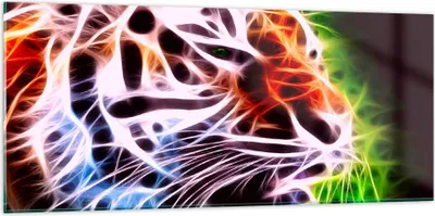 Produktbild von Bilder auf glas - Afrika aggression tiere tiger - 120x50cm - Glasbilder - Wandbilder - Kunstdruck - zum Aufhängen bereit - Wanddekoration aus Glas - Glas Bilder - Wandbild auf Glas - GAB120x50-2293
