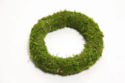 Image de HBx Couronne naturelle Asia Moos ø40cm