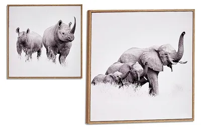 Immagine prodotto di Regalo Quadro decorativo con cornice animali in truciolato (31 x 2 x 31 cm)