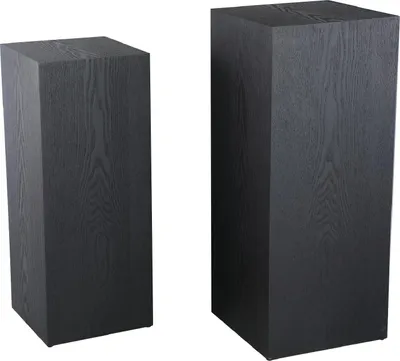 Produktbild von PTMD – Blumensäulen-Krawattenbinder – Schwarz – 35 x 35 x 85 cm – 2er-Set
