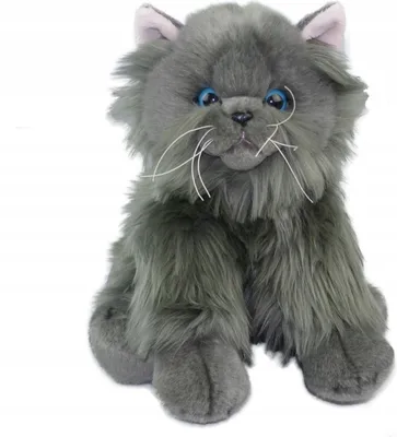 Image de ANEK Chat persan Gery SmillyPl 84404GP 26109