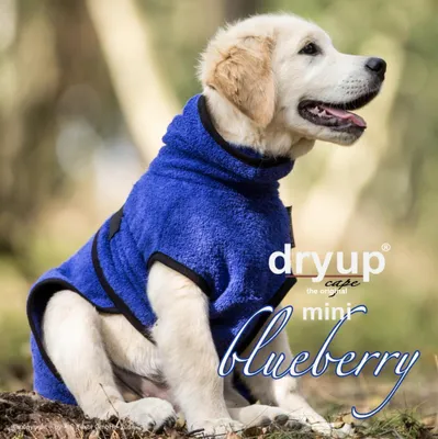 Produktbild von Dryup Cape Mini blueberry 30 cm