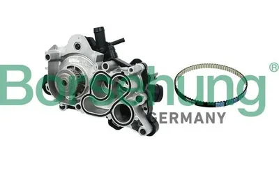 Produktbild von Borsehung B11208 Kühlmittelpumpe Wasserpumpe für VW Golf VII Schrägheck (5G1, BQ1, BE1, BE2) Polo Schrägheck (6R1, 6C1) Passat Variant (3G5, CB5)