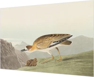 Zdjęcie produktu dla Tapeta ścienna – tapeta dekoracyjna do salonu – folia tapetowa do dekoracji ścian – 312 x 219 cm – Bergvogel