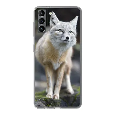 Produktbild von MuchoWow® Handyhülle Schutzhülle Hülle für Samsung Galaxy S21 Plus Fuchs - Makro - Baum Silikon Softcase Handy Hülle - Handy-Tasche