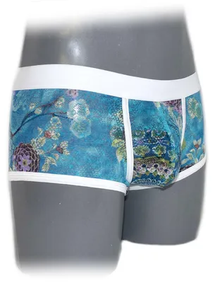 Produktbild von Comfortable fancy lace men boxer shorts
