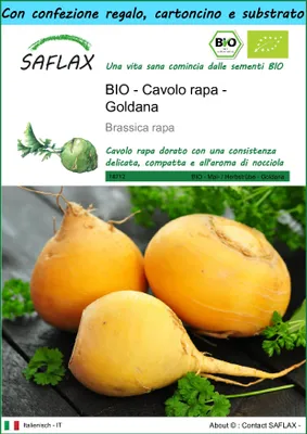 Immagine prodotto di SAFLAX Set regalo - BIO - Cavolo rapa - Goldana - 500 semi - Brassica