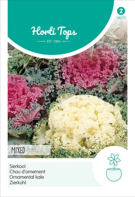 Produktbild von Zierkohl Mischung | Blumensamen von Hortitops