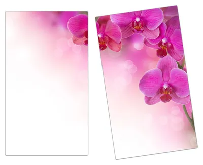 Produktbild von Spritzschutz Herdabdeckplatte Schneidebrett aus Glas Orchideen Design 2-Teilig (60x52cm)