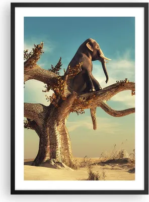 Produktbild von Gerahmtes Poster - Schwarzer Rahmen - Sitzen Elefant Baum - 50x70 cm - Wand Bild - Wanddeko - Wandbilder - Kunstposter - Wandposter - Bilderrahmen - Bilder - Kunstdruck - Wandbild - P2BPA50x70-4345