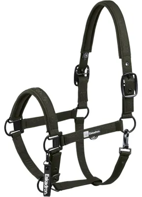Produktbild von Eskadron Halfter Sparkle Double Pin Dynamic 2025 Stallhalfter Deep Green V