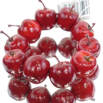 Produktbild von GASPER Weihnachtsdeko Mini - Apfelkranz Rot Ø ca. 9,5 cm - Kunstpflanzen