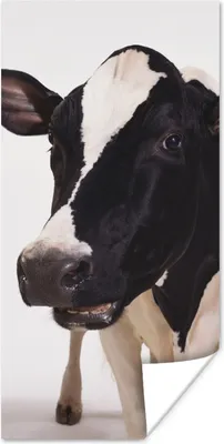 Produktbild von MuchoWow® Poster Kuh - Weiß - Tiere - Schwarz 60x120 cm - Wandschmuck