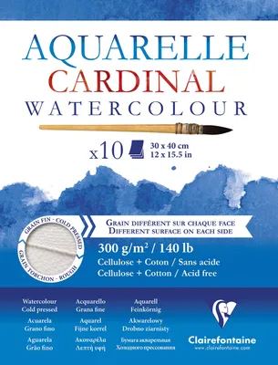Obrázok produktu pre Clairefontaine 3329680961966, Umelecká papierová podložka, 300 g/m², 10 listy