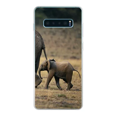 Produktbild von MuchoWow® Handyhülle Schutzhülle Hülle für Samsung Galaxy S10 Plus Elefant - Tiere - Savanne - Natur Silikon Softcase Handy Hülle - Schutzhülle