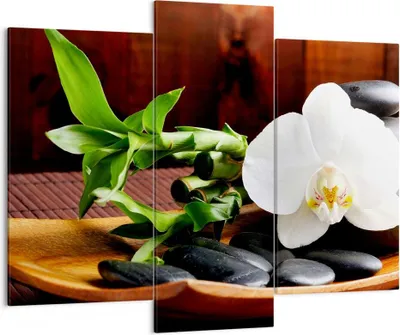 Produktbild von Bild auf Leinwand - Leinwandbild - Bambus Schönheit Dekoration Blume - 130x100cm - Wand Bild - Wanddeko - Leinwanddruck - Bilder - Kunstdruck - Leinwand bilder - Wandkunst - CB130x100-2166