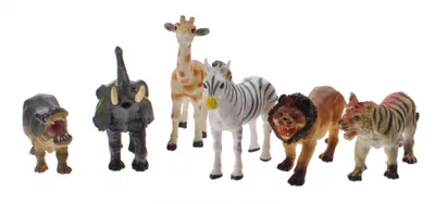 Image de Animaux sauvages dans la boîte