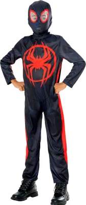 Obrázok produktu pre Rubies R1000716T56, Maškarný kostým, Detské, Uni, komix, Spider-Man, Viacfarebný