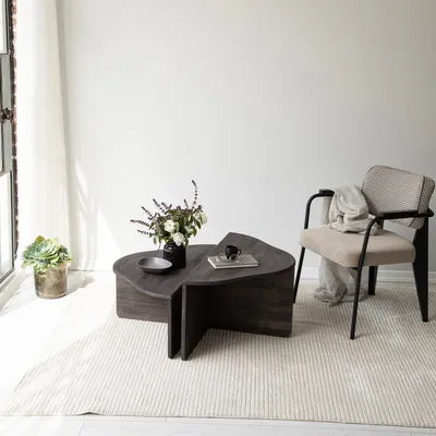 Obrázok produktu pre Skye Decor, Konferen?ný stolík - Altopia (antracit)