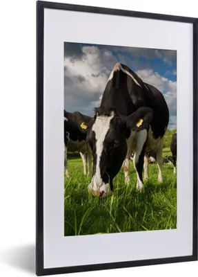 Produktbild von MuchoWow® Gerahmtes Poster Kühe - Tiere - Gras - Wiese - Bauernhof 40x60 cm - Poster mit Schwarzem Bilderrahmen Wandposter Rahmen Foto Bilder - Poster in Rahmen