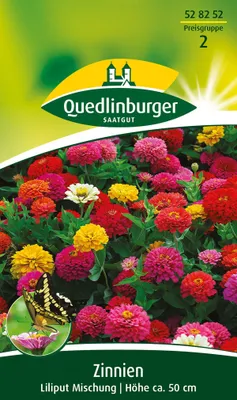 Produktbild von Quedlinburger Zinnien Lilliput Mischung - Blumensamen